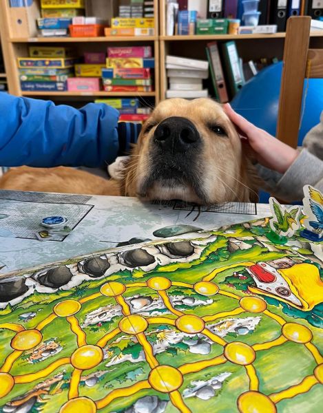 files/zentrumfiles/Therapiehunde2.jpg